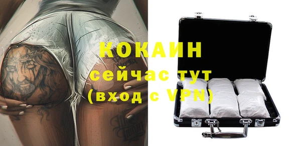 a pvp Алзамай
