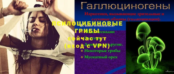 метадон Алексин